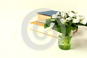 Bouquet of fresh violets on the background of two books, white background, side view, space for text