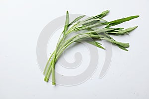 bouquet of fresh water morning glory, water spinach (ipomoea aquatica) isolated on white background.