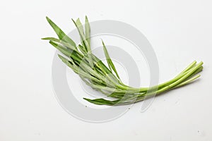 bouquet of fresh water morning glory, water spinach (ipomoea aquatica) isolated on white background.