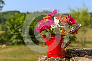 Bouquet garden flowers