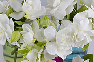 Bouquet of Gardenias