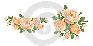 Bouquet, garland of roses. Vector flower posy decoration for anniversary, cards, greetings. Valentine`s day, mother`s day. Salmo