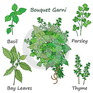 Bouquet garni of flavoring herbs. photo