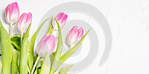 Bouquet of gentle pink tulips on white plaster background