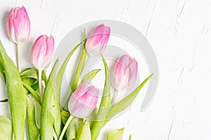 Bouquet of gentle pink tulips on white plaster background