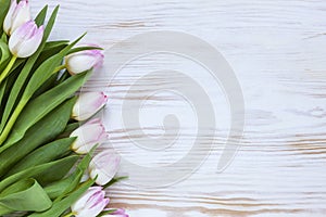 Bouquet of gentle white pink tulips on white wooden background. Happy Spring Holiday concept