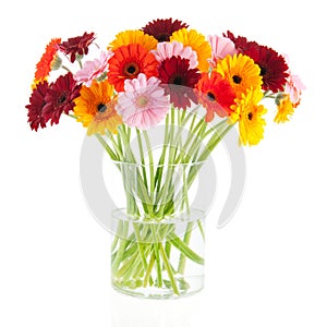 Bouquet Gerber flowers in glass vase