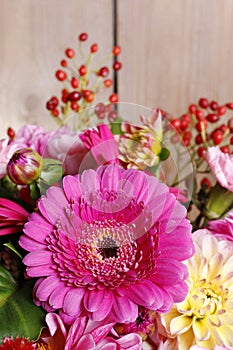 Bouquet of gerbera and dahlia flowers