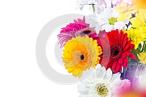 Bouquet of gerberas on a white background