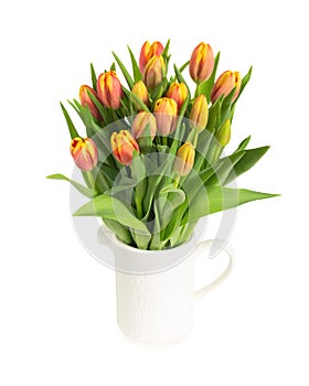 Bouquet of ginger tulips isolated