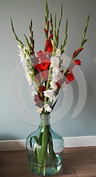 Bouquet of gladiolus