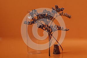 Bouquet in a glass vase, a branch of dried flowers on a yellow background, deco in the interior and still life