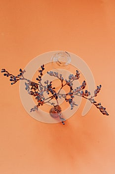 Bouquet in a glass vase, a branch of dried flowers on a yellow background, deco in the interior and still life