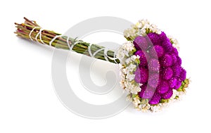 Bouquet with Gomphrena and statice isolated on white