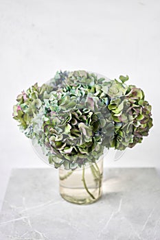 Bouquet of green and blue flower. Beautiful hydrangea flowers in a vase on a table. Decoration of home. Wallpaper and