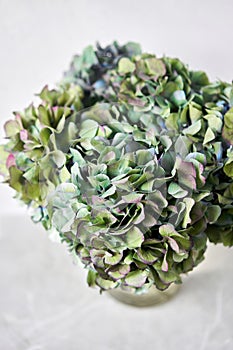 Bouquet of green and blue flower. Beautiful hydrangea flowers in a vase on a table. Decoration of home. Wallpaper and