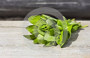 Bouquet of green fresh mint on wooden surface in sunlight with copy space