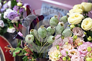 Bouquet of green opium poppy heads, capsules, seed bud and tropical leaves on a background of different flowers in a