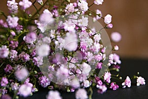 A bouquet of gypsophila on a dark background