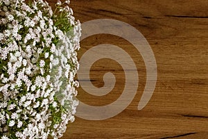 Bouquet of gypsophila in a glass aquarium (gypsophila paniculata) Bouquet of flowers in a glass vase.