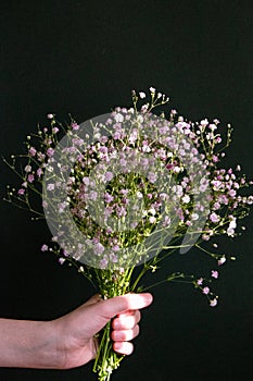 A bouquet of gypsophila in hands on a dark background