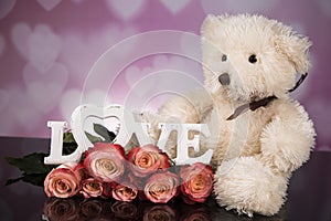 A bouquet of haber roses and a teddy bear mascot. Valentine`s Day