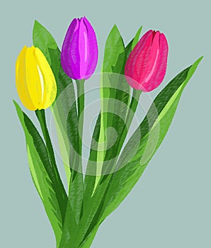 Bouquet of hand drawn red, purple and yellow tulips with green laeves isolated on blue background. Vector illustration