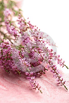 Bouquet of heather flowers