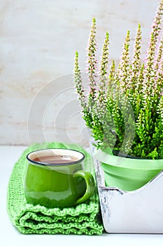 Bouquet of heather, tea mug and knitted scarf