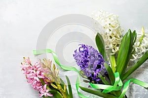 Bouquet of hyacinth flower on stone background or slate. Spring flowers background.