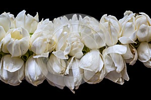 The bouquet of jasmine