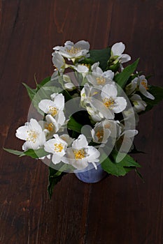 Bouquet of jasmine flowers on a dark wooden background.