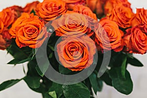 Bouquet of large red roses close up