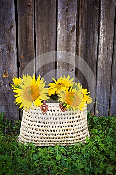 A bouquet of large sunflowers in a straw bag is standing near a wooden house