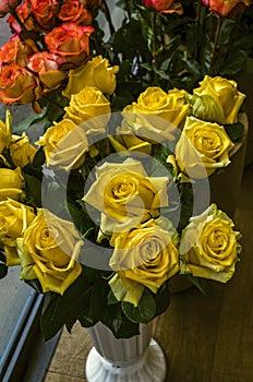 Bouquet with large yellow roses in a white flowerpot by the window in the city shop