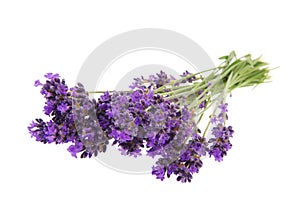 Bouquet Lavender