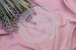 A bouquet of lavender on a background of pink velor fabric. Copy space, background for design. The photo