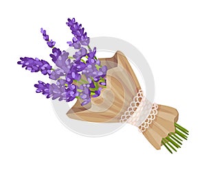 Bouquet of lavender in craft paper. Vector illustration on a white background.