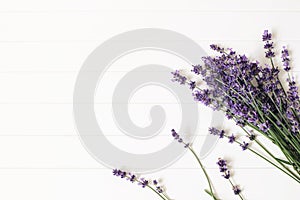 Bouquet of lavender flowers on white wooden table background. Decorative floral frame, web banner with Lavandula