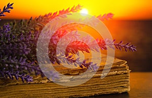 Bouquet of lavender lies on the old book on sunset