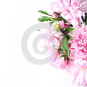 Bouquet of light pink peonies on a white background. close-up view from the top, copy space, square