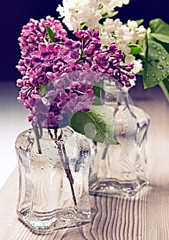 Bouquet of lilac