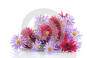 Bouquet of lilac chrysanthemums