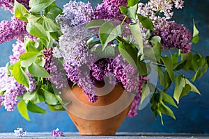 Bouquet of lilac in a clay vase on a dark blue textured background in the rays of the sun