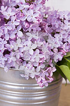 Bouquet of lilac flowers