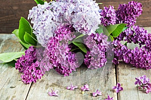 Bouquet of lilac flowers