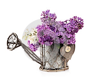 Bouquet of lilac flowers in a vintage garden watering-can