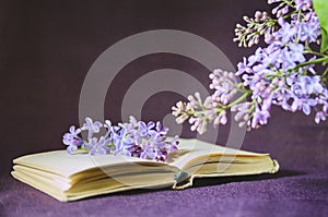 A bouquet of lilac and an open book, beautiful background. Closeup, selective focus