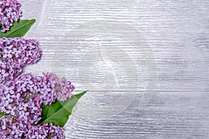 Bouquet of lilac on a silver background