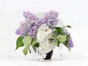 A bouquet of lilac in a vase, a still life with spring flowers